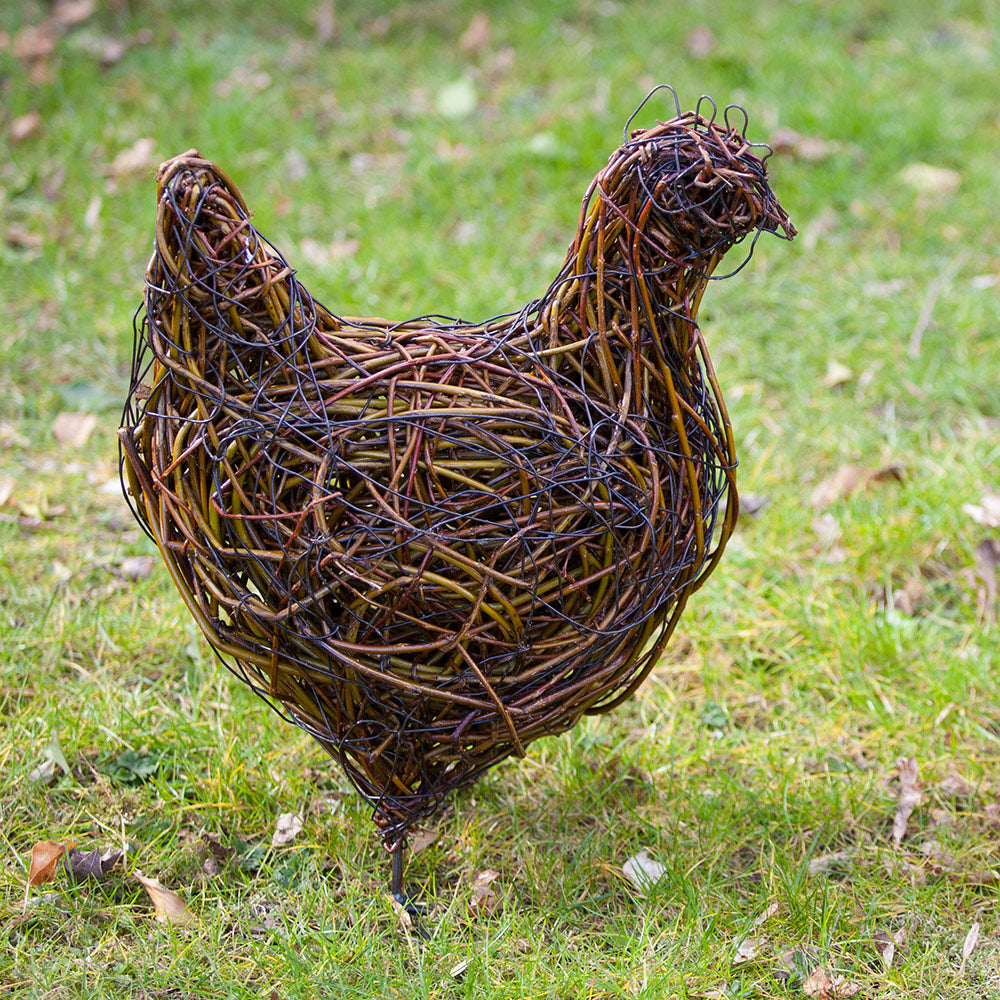 Clutch of Chattering Hens and Maran Cockerel Willow Sculptures