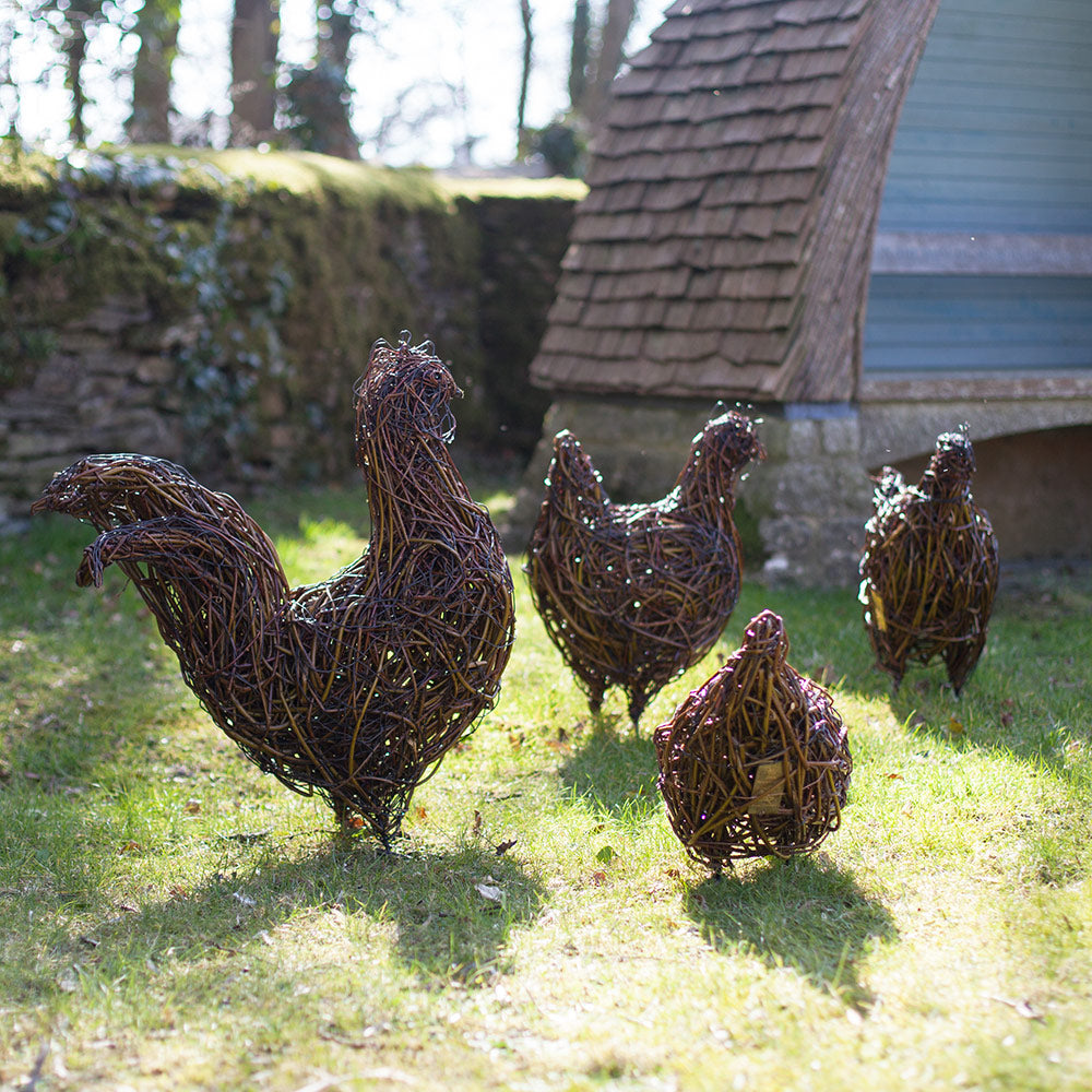 Clutch of Chattering Hens and Maran Cockerel Willow Sculptures