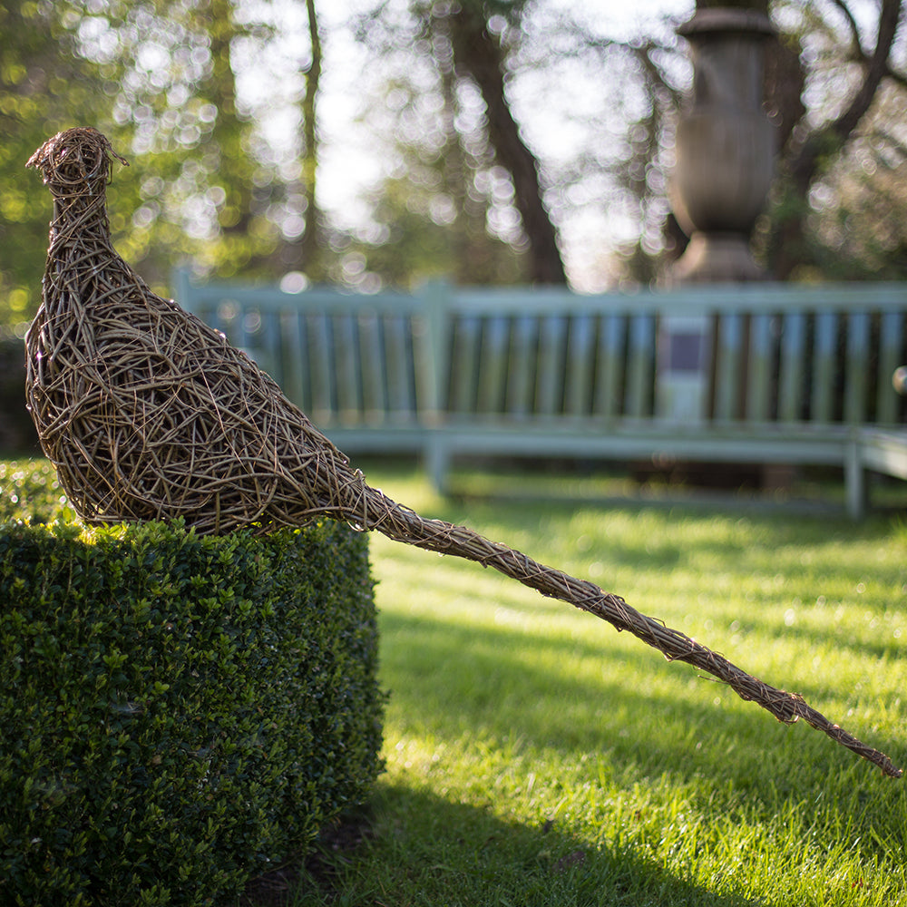 Lookout - Ring-necked “Cock” Pheasant Willow Sculpture