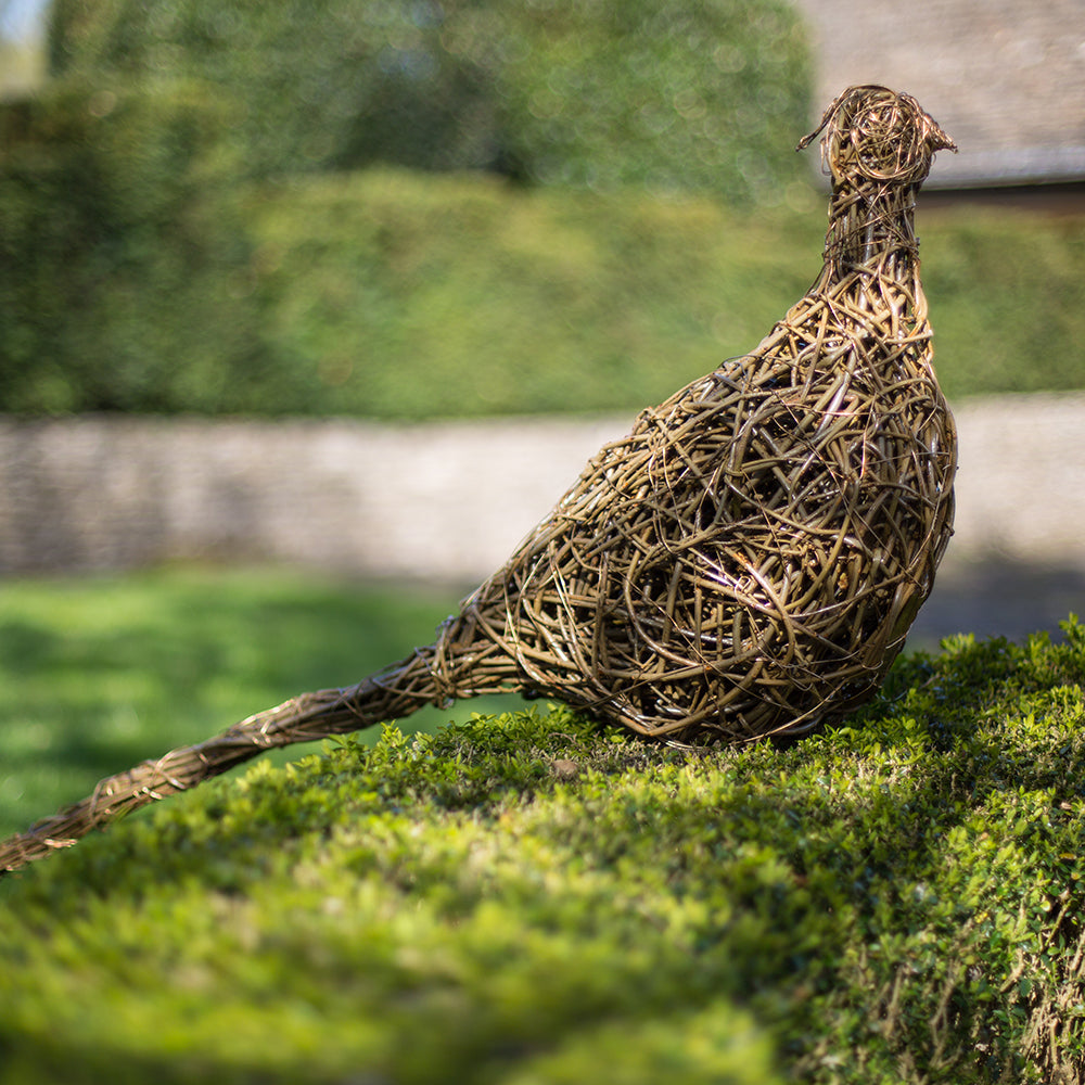 Lookout - Ring-necked “Cock” Pheasant Willow Sculpture