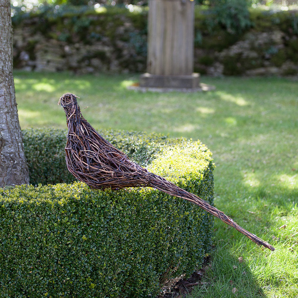 Lookout - Ring-necked “Cock” Pheasant Willow Sculpture