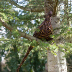 Ring-necked “Cock” Pheasant Willow Sculpture