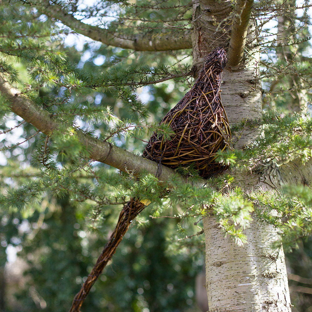 Lookout - Ring-necked “Cock” Pheasant Willow Sculpture