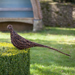 Ring-necked “Cock” Pheasant Willow Sculpture