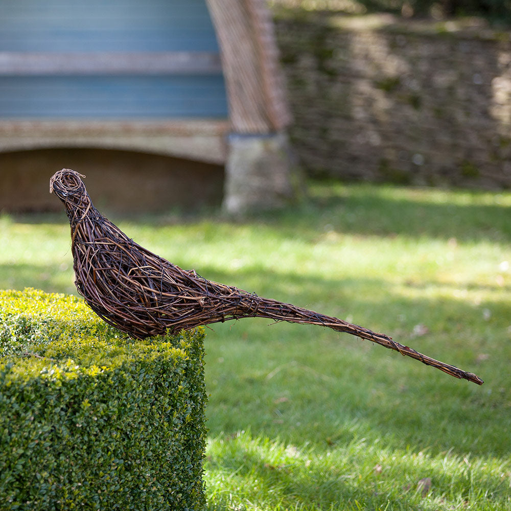Lookout - Ring-necked “Cock” Pheasant Willow Sculpture