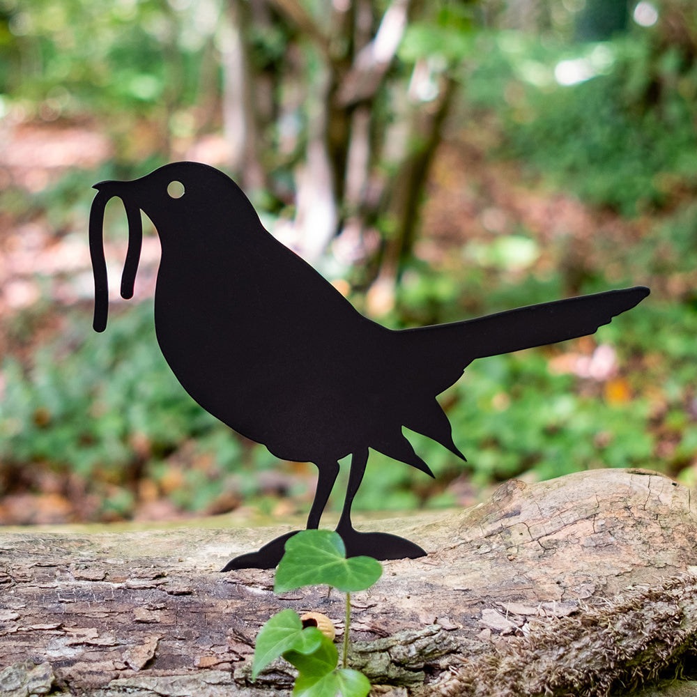 Garden Decoration - Blackbird
