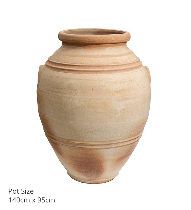 Eva Pots (various sizes)