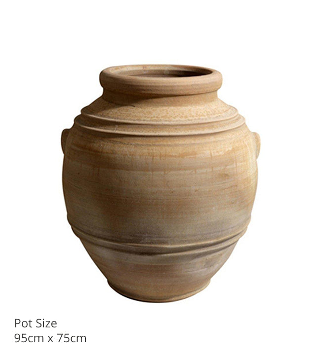 Eva Pots (various sizes)