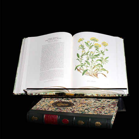 The Transylvania Florilegium