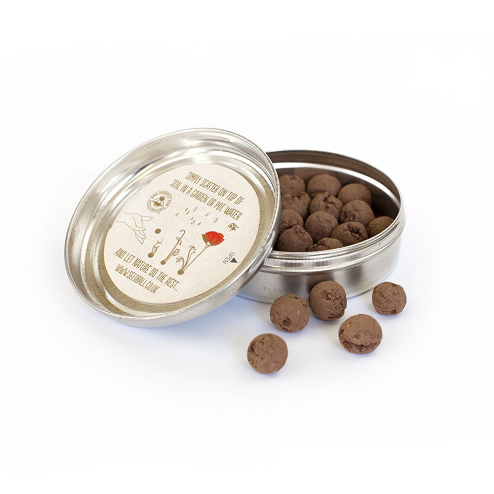 Highgrove Seedball Tin (Butterfly Friendly Mix)