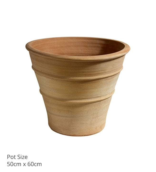 Citrus Pots (various sizes)